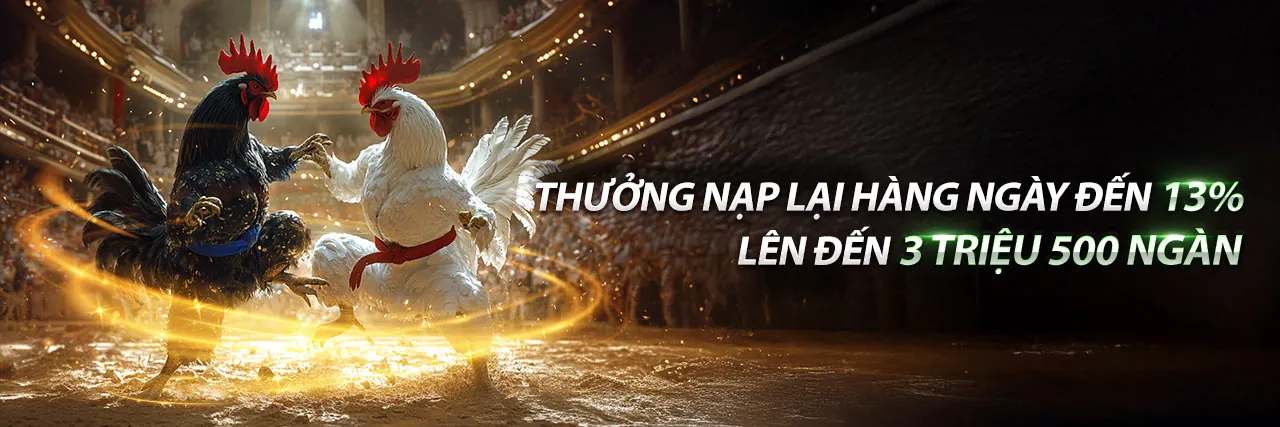 Các chương trình khuyến mãi và ưu đãi độc quyền tại mb6666 nhà cái